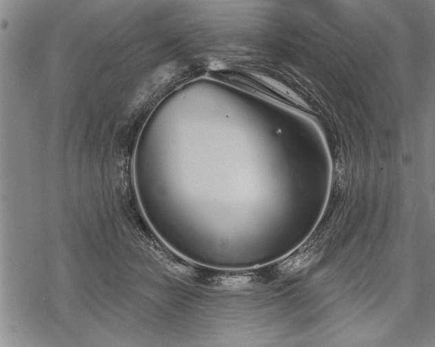 X0000069380462200605150922