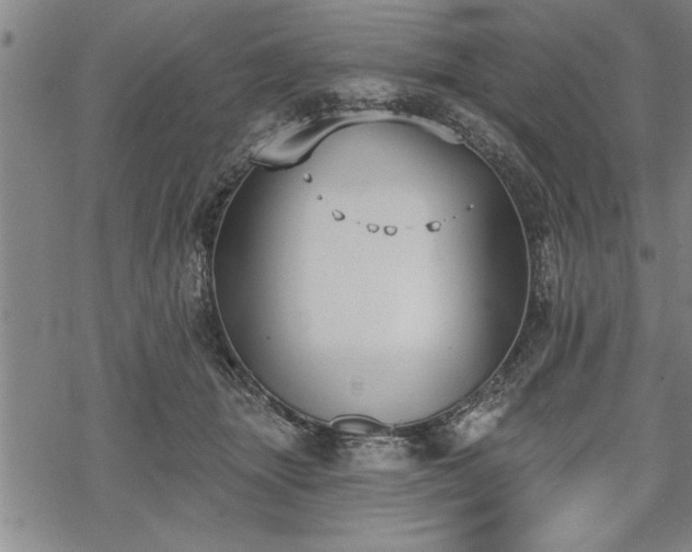 X0000069380463200605150922