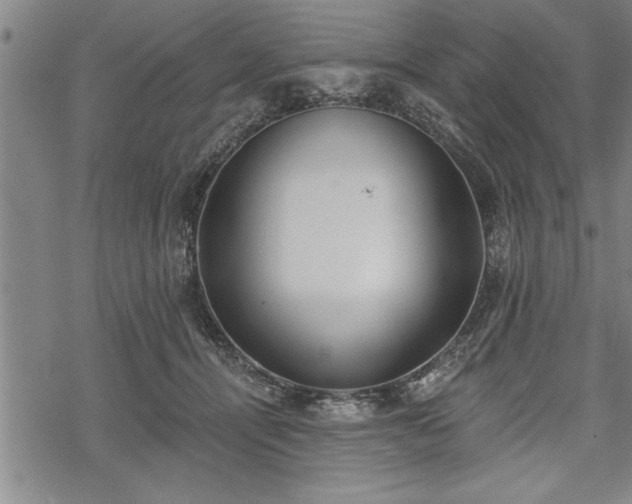 X0000069380464200605150922