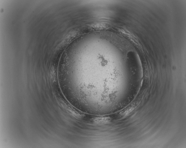 X0000069380465200605150922