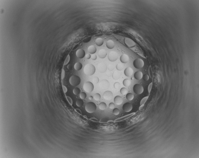 X0000069380466200605150922