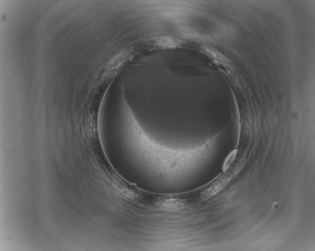 X0000069380467200605150922