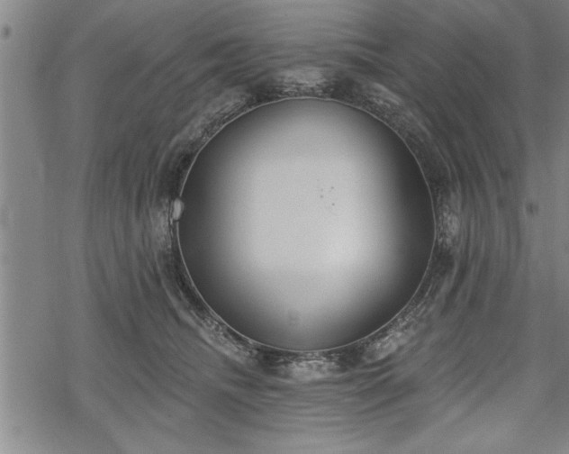 X0000069380468200605150922