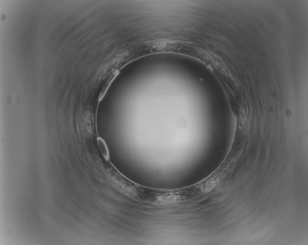 X0000069380470200605150922