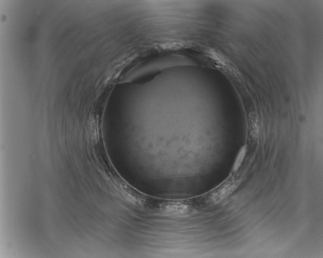 X0000069380471200605150922