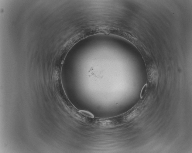 X0000069380472200605150922