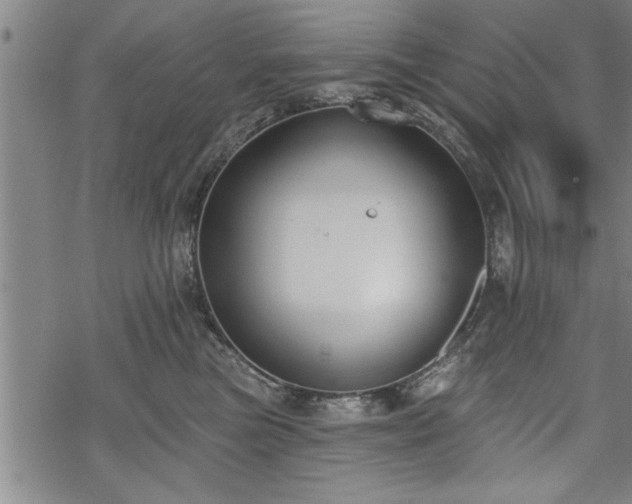 X0000069380473200605150922