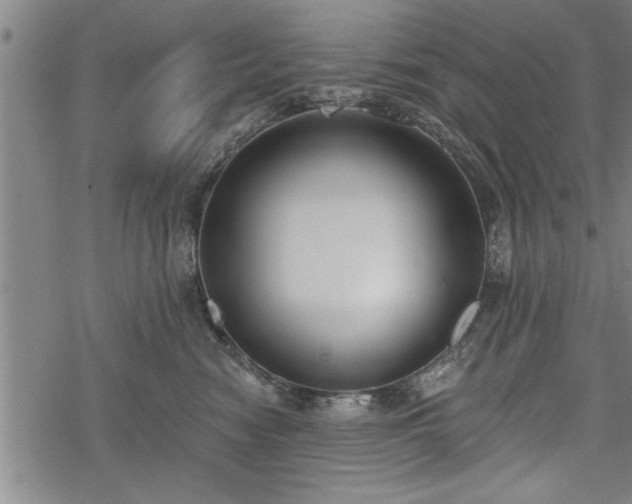 X0000069380474200605150922