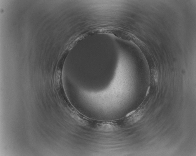 X0000069380475200605150922