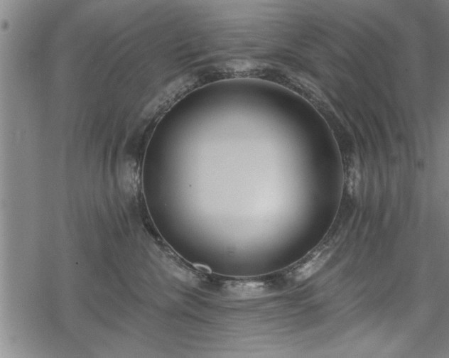 X0000069380476200605150922