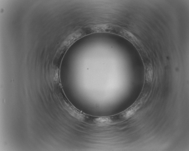 X0000069380477200605150922