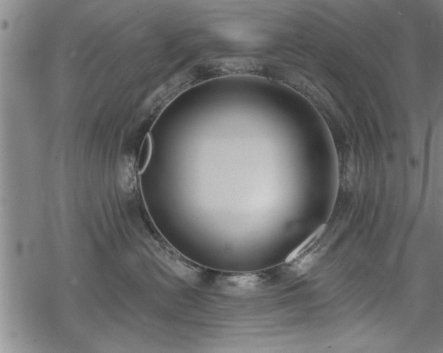 X0000069380478200605150922