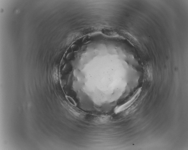 X0000069380479200605150922