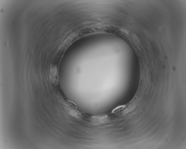 X0000069380480200605150922