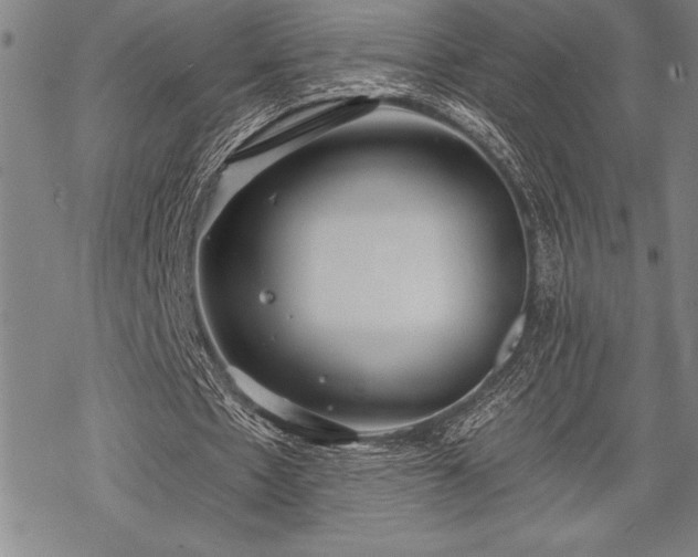 X0000069380481200605150921