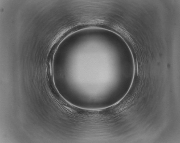 X0000069380483200605150921