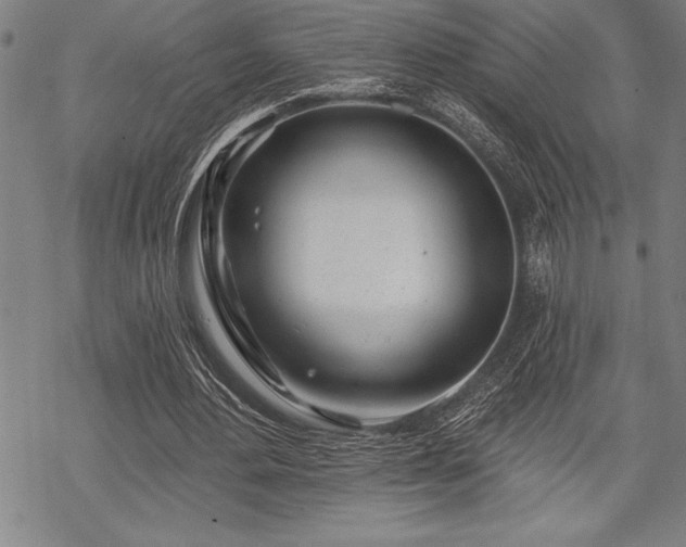 X0000069380484200605150921