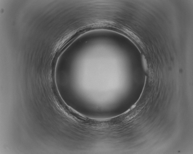 X0000069380485200605150921