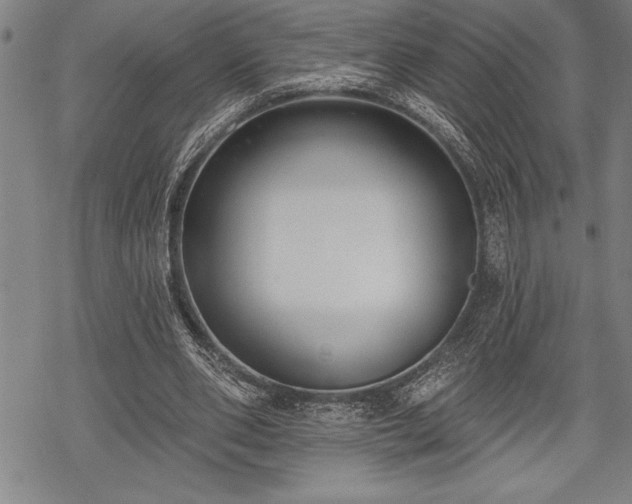 X0000069380486200605150921