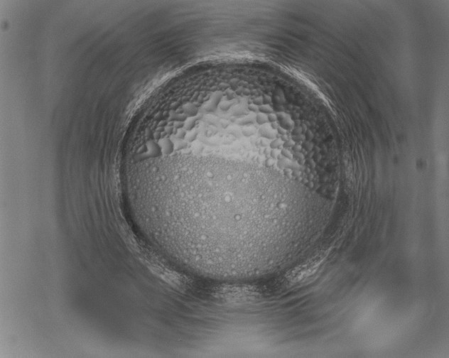 X0000069380487200605150921