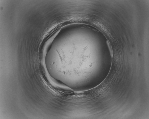 X0000069380488200605150921