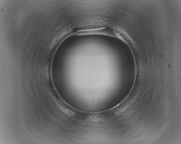 X0000069380489200605150921