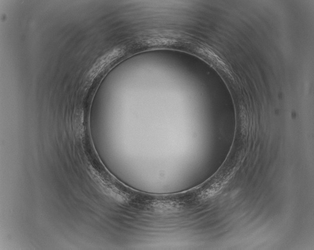 X0000069380490200605150921