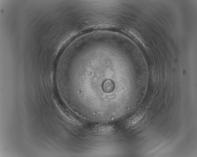 X0000069380491200605150921