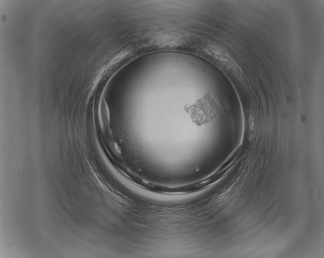 X0000069380492200605150921