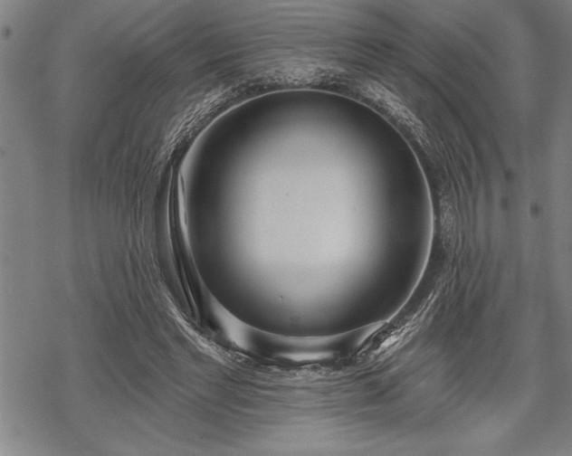 X0000069380493200605150921