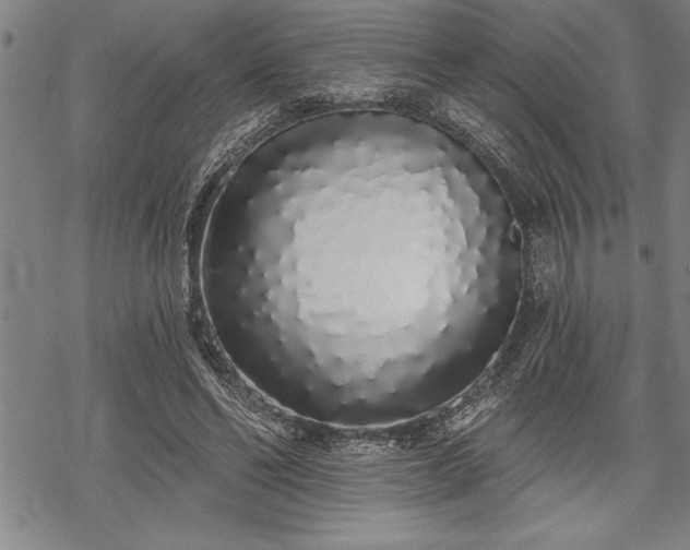 X0000069380494200605150921