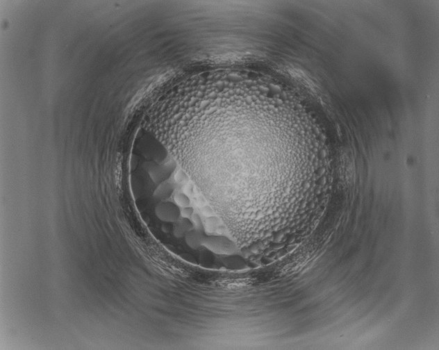 X0000069380495200605150921