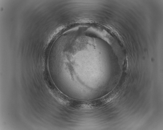 X0000069380496200605150921