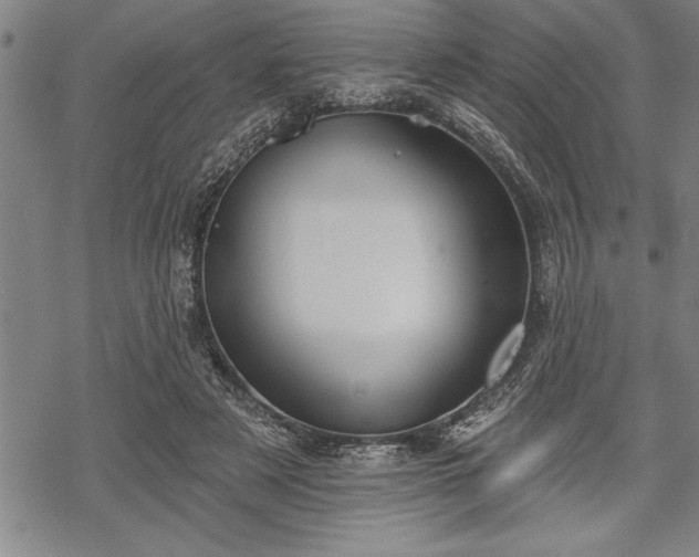 X0000069380497200605150921