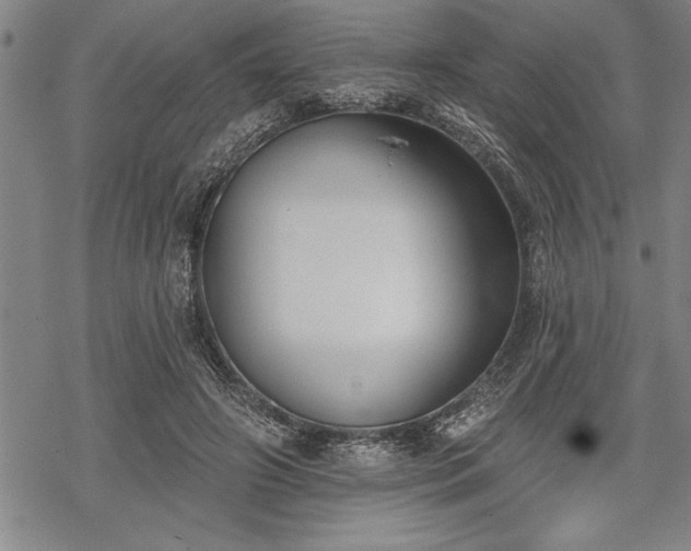 X0000069380498200605150921