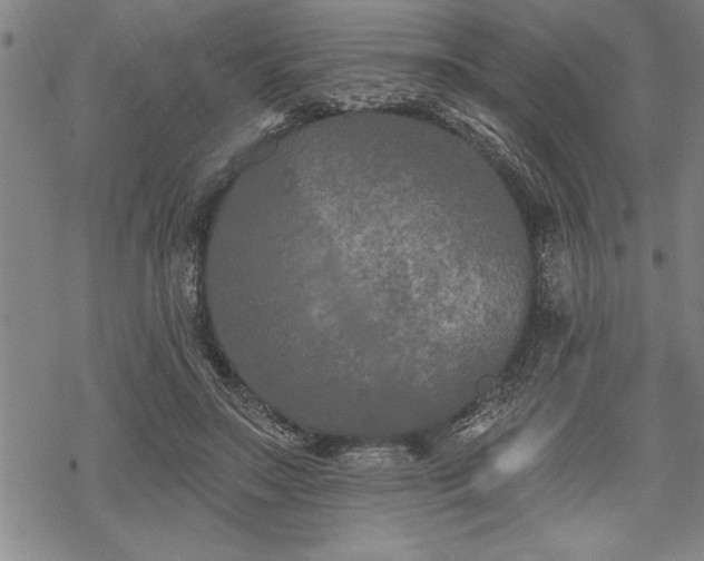 X0000069380499200605150921