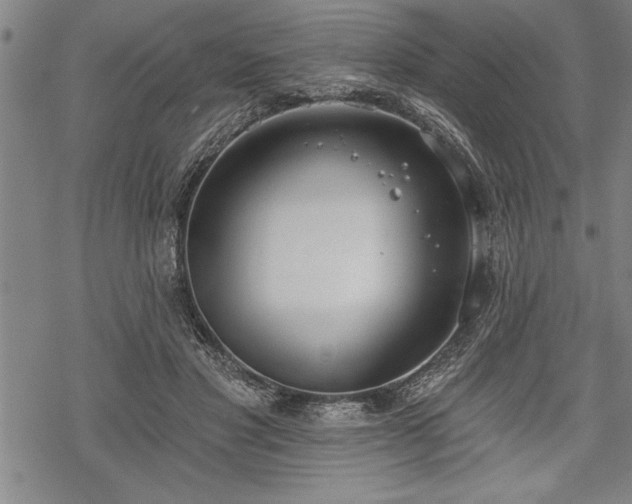 X0000069380501200605150921