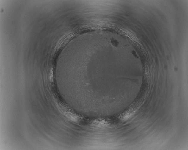 X0000069380502200605150921