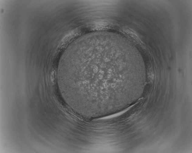 X0000069380503200605150921