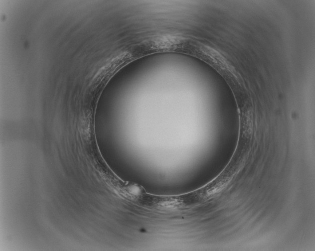 X0000069380505200605150921