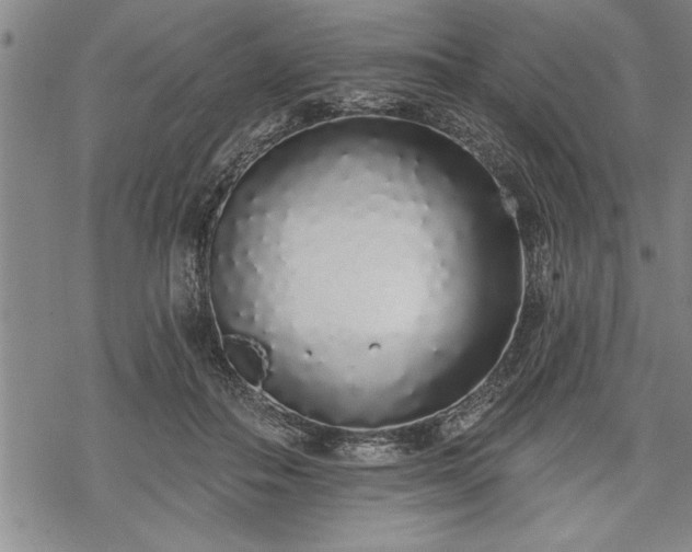 X0000069380506200605150921