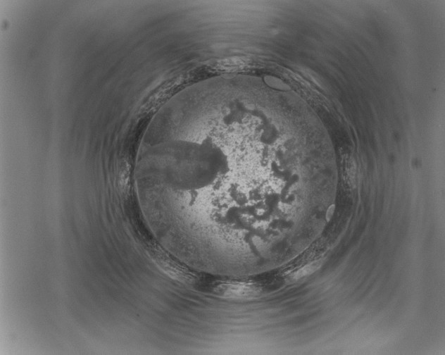 X0000069380507200605150921