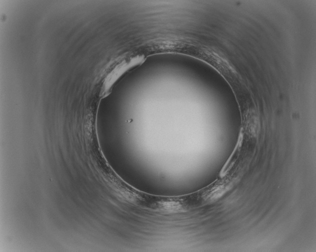 X0000069380509200605150921