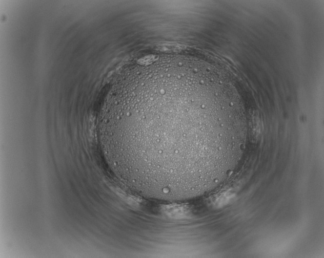 X0000069380511200605150921