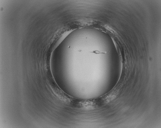 X0000069380512200605150921