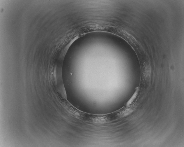 X0000069380513200605150921