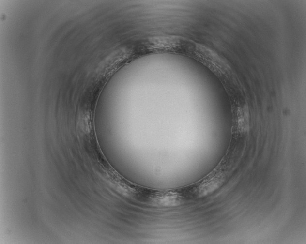 X0000069380514200605150921