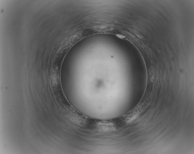 X0000069380515200605150921