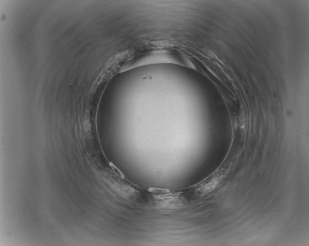 X0000069380516200605150921