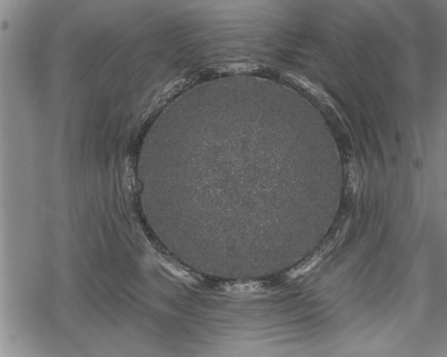 X0000069380517200605150921